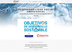 Diseño-Web-Asturias-Responsable