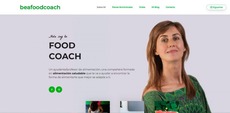 Diseño de página web para aserora nutricional